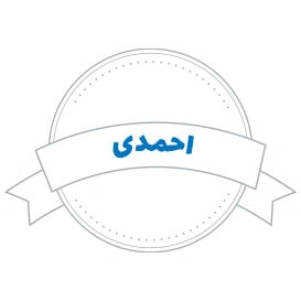 شرکت حمل و نقل و باربری احمدی در تهران
