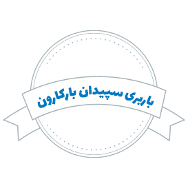 شرکت باربری سپیدان بارکارون