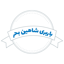 شرکت باربری شاهین بحر