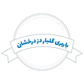شرکت باربری گلبار دز درخشان